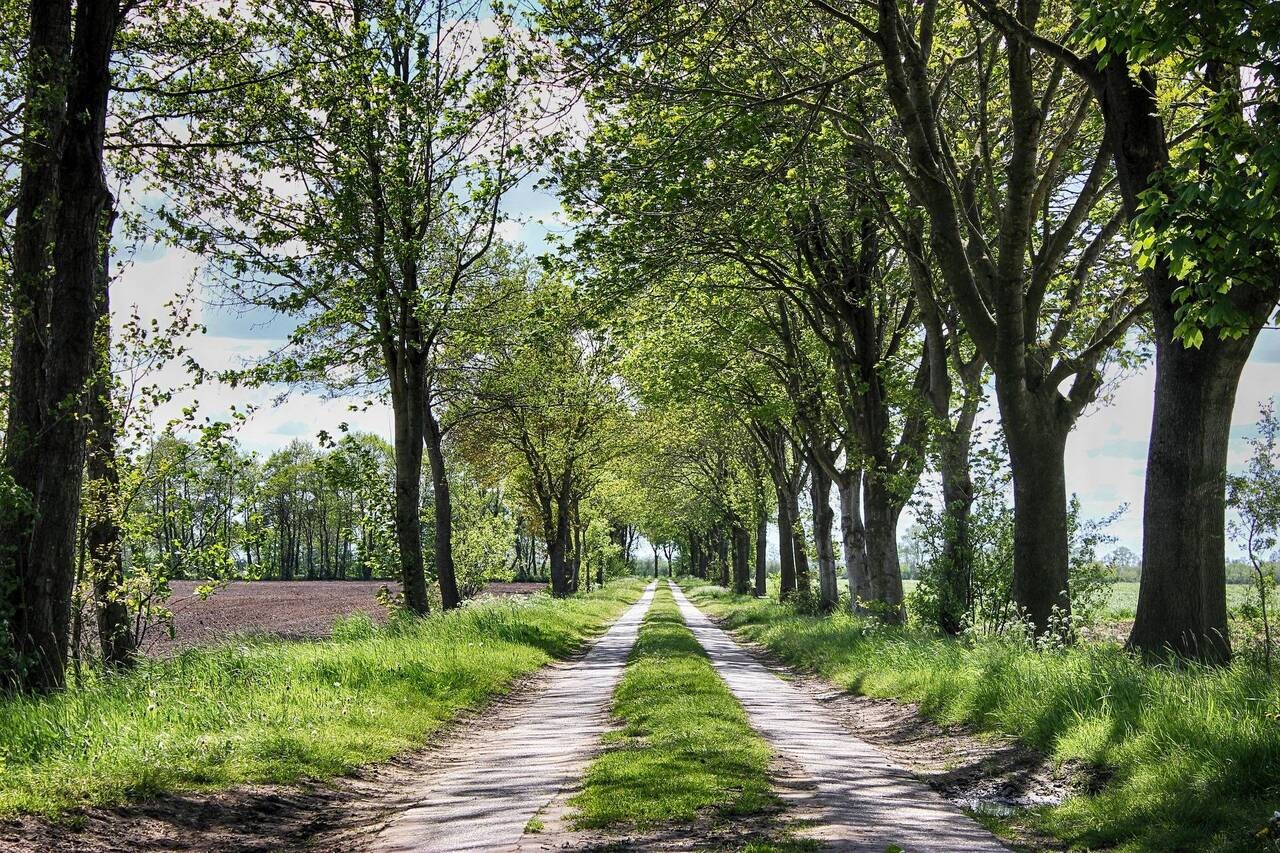 Ferienhaus Nordseemupfel Ostfriesland Bildergalerie